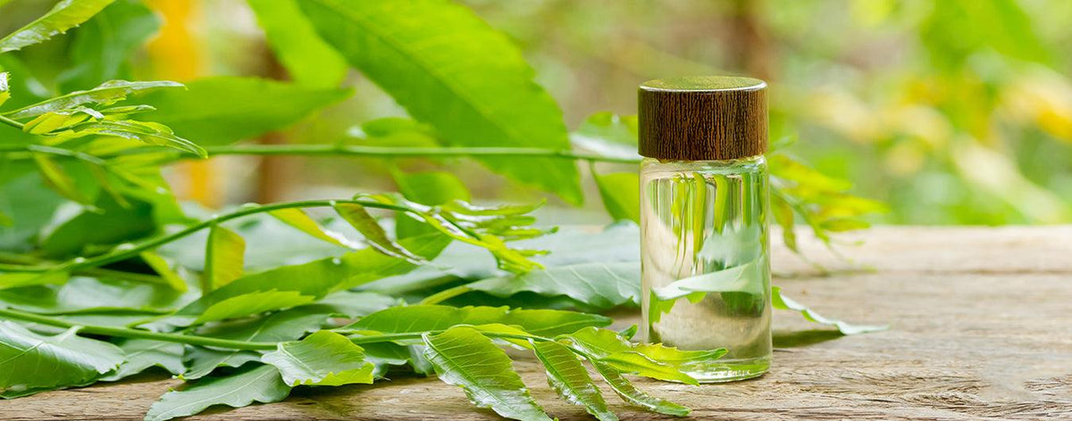 Neem Oil