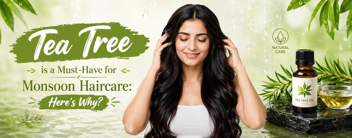 Tea Tree is a Must-Have for Monsoon Haircare: Here’s Why?