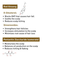 Korean Red Ginseng Hair Growth Combo Kit – Shampoo & Serum, Blocks DHT, Hydrates & Nourishes Hair & Scalp, Pentavitin, Caffeine, Vitamin B5, Promotes Hair Growth & Scalp Health - Keya Seth Aromatherapy