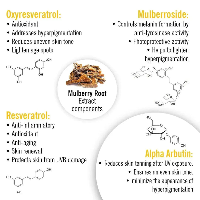 Skin Lightening Face Serum, Daisy Flower + Alpha Arbutin + Mulberry Root, Brightening & Glowing, Hyperpigmentation, Melanogenesis, with Hyaluronic Acid