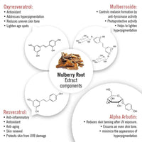 Skin Lightening Spot Serum, Daisy Flower + Alpha Arbutin + Mulberry Root, Dark Spots & Brightening, Hyperpigmentation, with Sodium Ascorbyl Phosphate - Keya Seth Aromatherapy