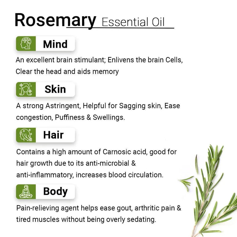 Rosemary Essential Oil, Natural Therapeutic Grade, Hair Growth, Hair Fall Control & Nourishment, Even Skin Tone 10ml