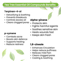 Tea Tree Body Oil - Moisturising, Anti Acne, Cleansing, Soothing & Purifies Skin; Non-Sticky, Quick-Absorbing - Keya Seth Aromatherapy