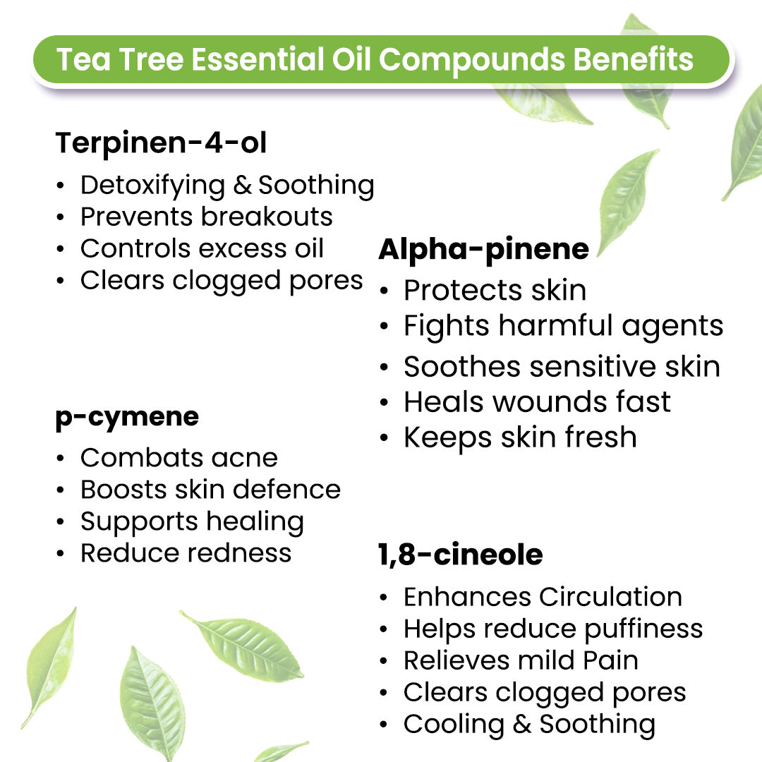 Tea Tree Body Oil - Moisturising, Anti Acne, Cleansing, Soothing & Purifies Skin; Non-Sticky, Quick-Absorbing - Keya Seth Aromatherapy