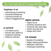 Tea Tree Body Oil - Moisturising, Anti Acne, Cleansing, Soothing & Purifies Skin; Non-Sticky, Quick-Absorbing - Keya Seth Aromatherapy