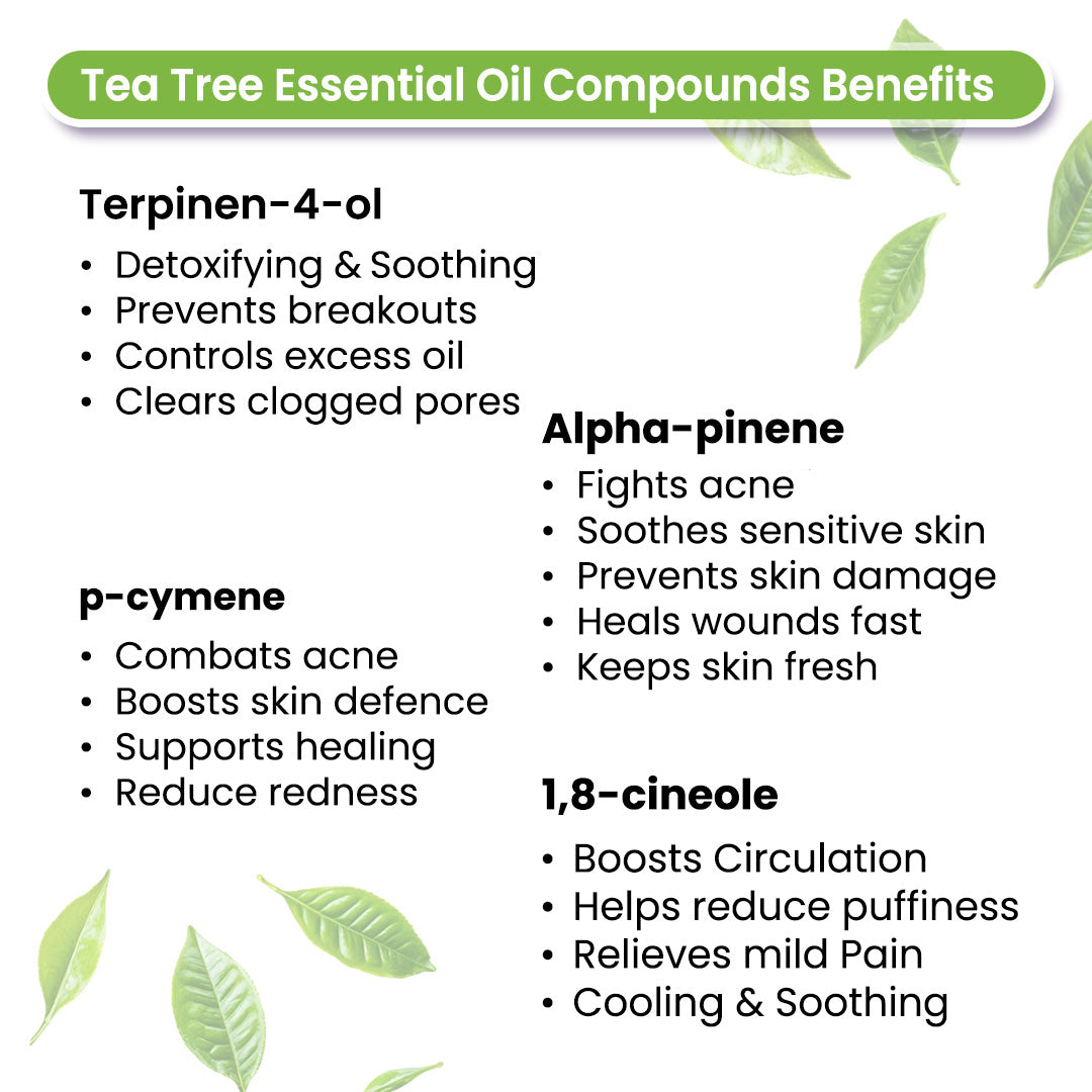 Tea Tree Body Oil - Moisturising, Anti Acne, Cleansing, Soothing & Purifies Skin; Non-Sticky, Quick-Absorbing - Keya Seth Aromatherapy