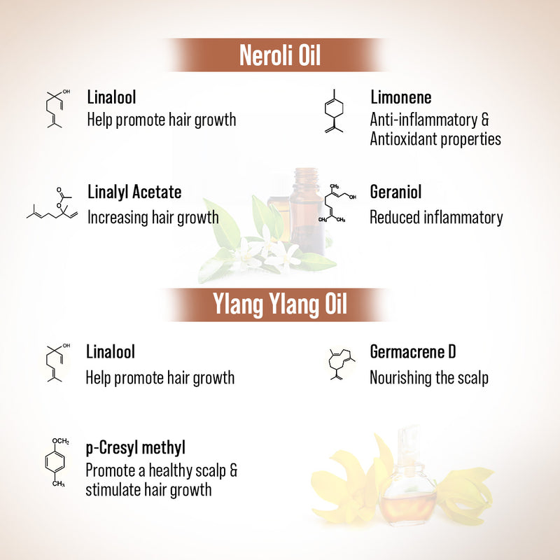 Hair Growth Oil Treatment Kit – Moisture Boost Shampoo & Alopex Long N Strong Hair Oil with Rosemary, Tea Tree, Honey & Provitamin B5 for Hydration, Strength & Hair Growth - Keya Seth Aromatherapy