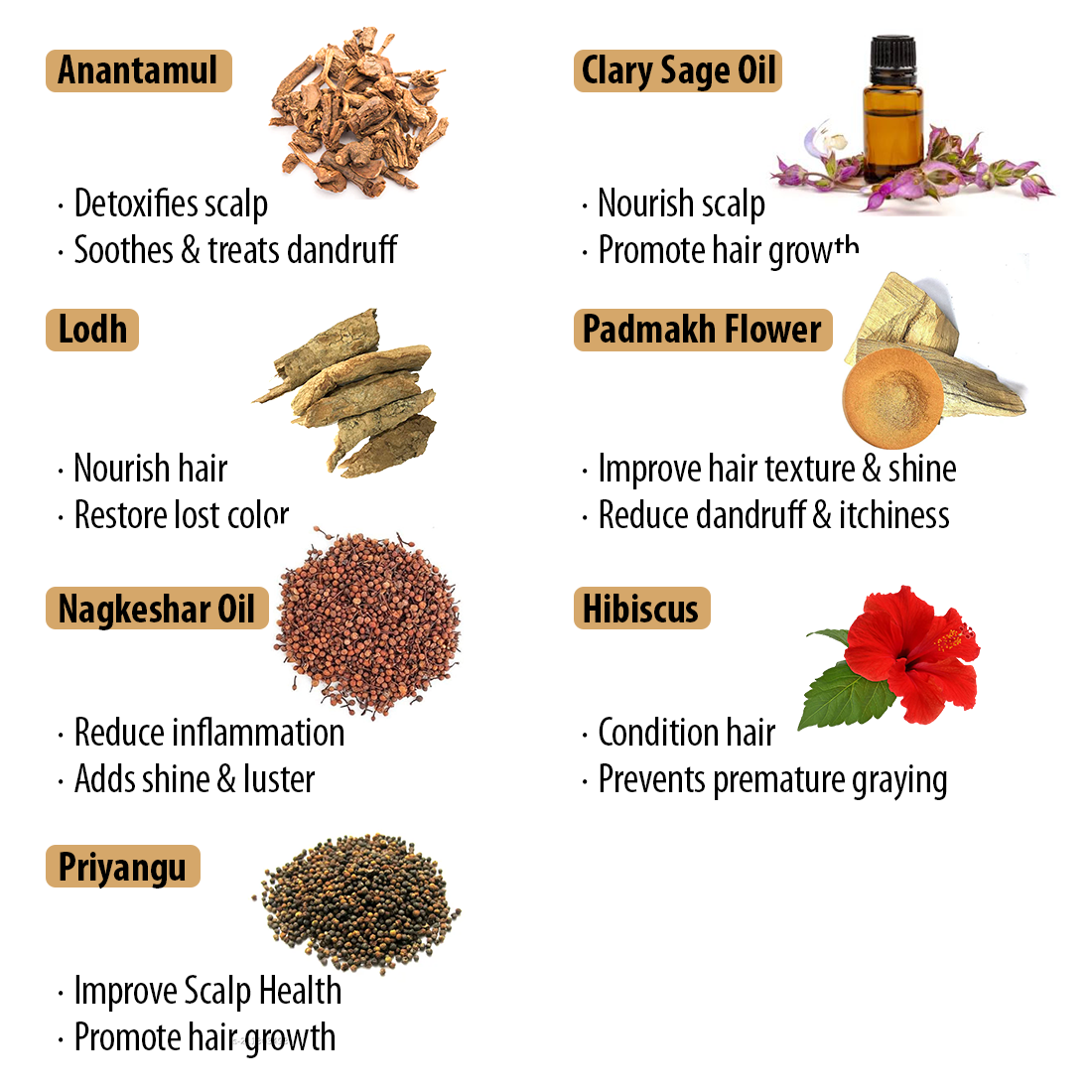 Black Shine Hair Pack Natural Hair Colour, Dye with Ayurvedic Herbs, Men & Women - Keya Seth Aromatherapy