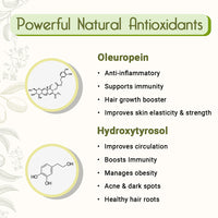 Cold Pressed Pure Olive Oil for Face, Body & Cooking Rich in Vitamin E & K - Keya Seth Aromatherapy