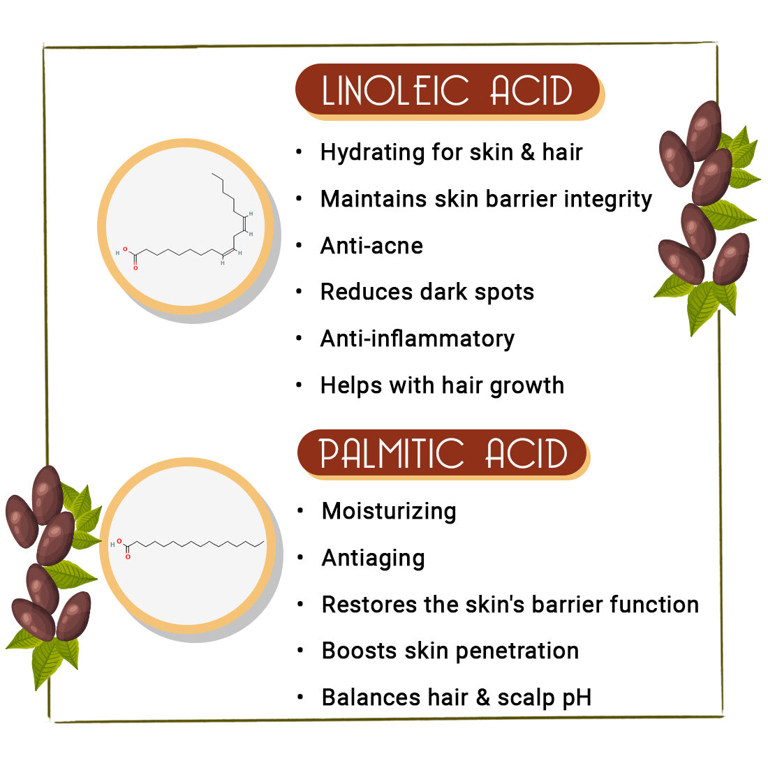 Cold Pressed Pure Castor Oil For Skin & Hair, Rich in Fatty Acid, Vitamin E - Keya Seth Aromatherapy