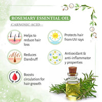 Rosemary Tea Tree Coconut Hair Oil, Hair Growth Anti Dandruff & Itching Nourishment & Moisturizer, Distilled Essential Oil - Keya Seth Aromatherapy