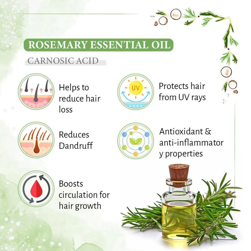 Rosemary Tea Tree Coconut Hair Oil, Hair Growth Anti Dandruff & Itching Nourishment & Moisturizer, Distilled Essential Oil - Keya Seth Aromatherapy