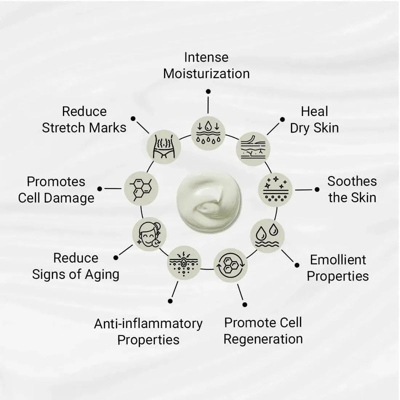 Lab Fresh Shea Body Butter Enriched with Rose & Geranium Oil for 24hrs Moisturization & Nourishment for Men & Women All Skin Types - Keya Seth Aromatherapy