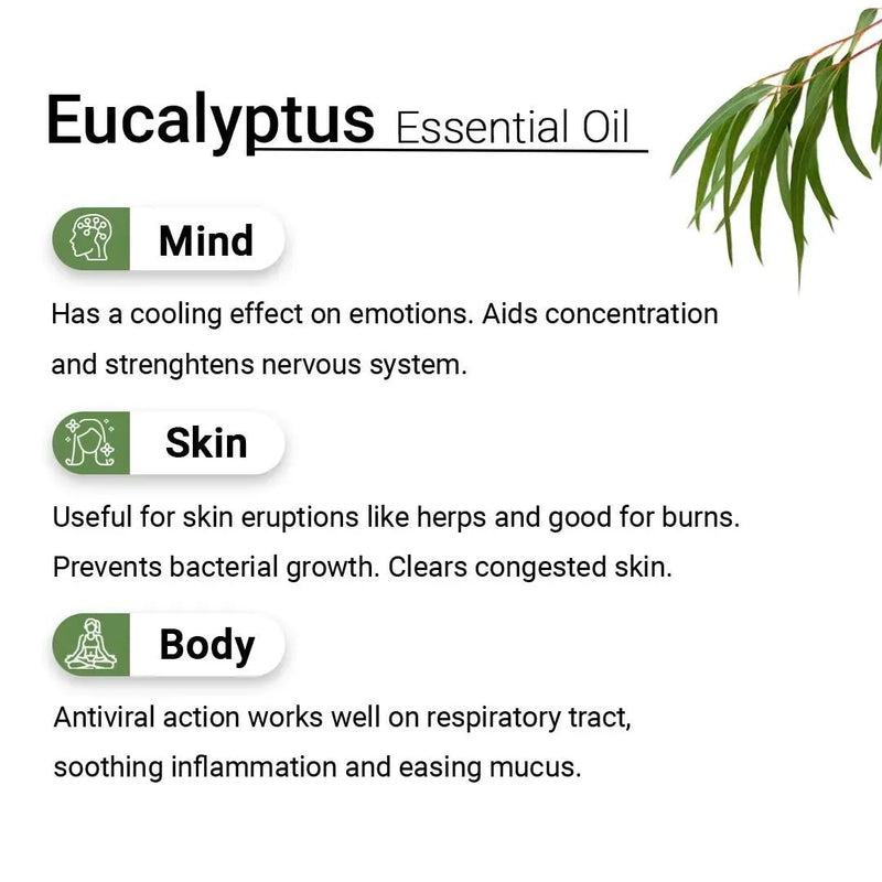 Eucalyptus Essential Oil, Therapeutic, Pure & Natural, Headache, Sinus, Nasal Congestion, Cold & Cough, Antiseptic & Insecticide 10ml - Keya Seth Aromatherapy