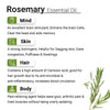 Rosemary Essential Oil Natural Therapeutic Grade, Hair Loss Control & Regrowth, Refreshing Fragrance 10ml