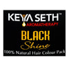 Black Shine Hair Pack Natural Hair Color for Gray & White Hair with Pure Essential Oil & Herbs Extract for Men & Women - No Ammonia, Hydrogen Peroxide