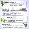 Graine Out-Migraine, Headache, Sinus, Relief Natural Therapeutic Essential Oil Blend of Eucalyptus, Peppermint & Aniseed