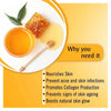 Honey Bodywash Enriched with Honey, Shower Gel with Skin Conditioner for All Skin Types - Keya Seth Aromatherapy